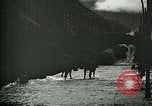 Standbild Nachwirkungen der Schlacht von Caporetto in Ersten Weltkrieg Italien, 1917, aus Sekunde 48 historischem Filmmaterial Videoclip 65675026036