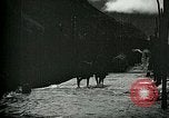Standbild Nachwirkungen der Schlacht von Caporetto in Ersten Weltkrieg Italien, 1917, aus Sekunde 50 historischem Filmmaterial Videoclip 65675026036