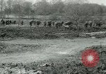 Image of Canadian Army troops in World War 1 United Kingdom, 1917, second 31 stock footage video 65675026055
