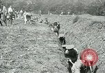 Image of British soldiers digging trenches France, 1916, second 6 stock footage video 65675026076