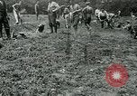Image of British soldiers digging trenches France, 1916, second 21 stock footage video 65675026076