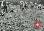 Image of British soldiers digging trenches France, 1916, second 22 stock footage video 65675026076