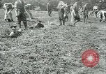 Image of British soldiers digging trenches France, 1916, second 23 stock footage video 65675026076