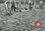Image of British soldiers digging trenches France, 1916, second 24 stock footage video 65675026076