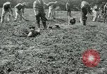Image of British soldiers digging trenches France, 1916, second 25 stock footage video 65675026076