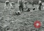 Image of British soldiers digging trenches France, 1916, second 26 stock footage video 65675026076