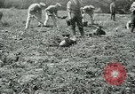 Image of British soldiers digging trenches France, 1916, second 27 stock footage video 65675026076