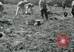 Image of British soldiers digging trenches France, 1916, second 28 stock footage video 65675026076