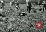Image of British soldiers digging trenches France, 1916, second 29 stock footage video 65675026076
