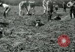 Image of British soldiers digging trenches France, 1916, second 30 stock footage video 65675026076
