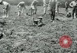 Image of British soldiers digging trenches France, 1916, second 31 stock footage video 65675026076