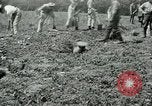 Image of British soldiers digging trenches France, 1916, second 32 stock footage video 65675026076