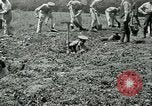 Image of British soldiers digging trenches France, 1916, second 33 stock footage video 65675026076