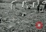 Image of British soldiers digging trenches France, 1916, second 34 stock footage video 65675026076