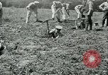 Image of British soldiers digging trenches France, 1916, second 35 stock footage video 65675026076