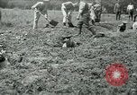Image of British soldiers digging trenches France, 1916, second 37 stock footage video 65675026076