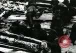 Image scènes dans Petrograd peu après la Révolution d'octobre soviétique Saint Petersburg Russie soviétique, 1917, de la seconde 39 séquences d'archives historiques vidéo 65675026082