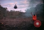 Image of operation Cedar falls Vietnam, 1967, second 33 stock footage video 65675026106