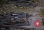 Immagine di Operazione Cedar Falls Il Vietnam, 1967, secondo 30 filmato di repertorio 65675026107