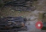Immagine di Operazione Cedar Falls Il Vietnam, 1967, secondo 31 filmato di repertorio 65675026107