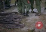 Immagine di Operazione Cedar Falls Il Vietnam, 1967, secondo 34 filmato di repertorio 65675026107
