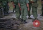 Immagine di Operazione Cedar Falls Il Vietnam, 1967, secondo 35 filmato di repertorio 65675026107