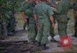 Immagine di Operazione Cedar Falls Il Vietnam, 1967, secondo 36 filmato di repertorio 65675026107
