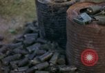 Immagine di Operazione Cedar Falls Il Vietnam, 1967, secondo 51 filmato di repertorio 65675026107