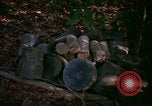 Standbild Operation Cedar Falls Vietnam, 1967, aus Sekunde 17 historischem Filmmaterial Videoclip 65675026108