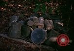 Standbild Operation Cedar Falls Vietnam, 1967, aus Sekunde 18 historischem Filmmaterial Videoclip 65675026108