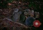 Standbild Operation Cedar Falls Vietnam, 1967, aus Sekunde 21 historischem Filmmaterial Videoclip 65675026108