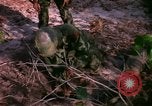 Standbild Operation Cedar Falls Vietnam, 1967, aus Sekunde 30 historischem Filmmaterial Videoclip 65675026108