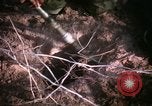 Standbild Operation Cedar Falls Vietnam, 1967, aus Sekunde 41 historischem Filmmaterial Videoclip 65675026108