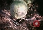 Standbild Operation Cedar Falls Vietnam, 1967, aus Sekunde 45 historischem Filmmaterial Videoclip 65675026108