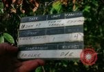Standbild Operation Cedar Falls Vietnam, 1967, aus Sekunde 57 historischem Filmmaterial Videoclip 65675026108