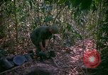 Standbild Operation Cedar Falls Vietnam, 1967, aus Sekunde 59 historischem Filmmaterial Videoclip 65675026108