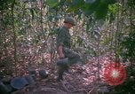 Standbild Operation Cedar Falls Vietnam, 1967, aus Sekunde 62 historischem Filmmaterial Videoclip 65675026108