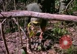 Standbild operation Cedar Falls Vietnam, 1967, aus Sekunde 44 historischem Filmmaterial Videoclip 65675026109