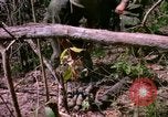 Standbild operation Cedar Falls Vietnam, 1967, aus Sekunde 45 historischem Filmmaterial Videoclip 65675026109