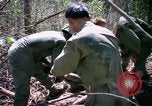 Standbild operation Cedar Falls Vietnam, 1967, aus Sekunde 54 historischem Filmmaterial Videoclip 65675026109