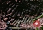 Standbild operation Cedar Falls Vietnam, 1967, aus Sekunde 59 historischem Filmmaterial Videoclip 65675026110