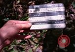 Image of operation Cedar Falls Vietnam, 1967, second 4 stock footage video 65675026111