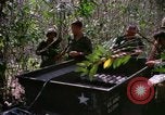 Image of operation Cedar Falls Vietnam, 1967, second 27 stock footage video 65675026111