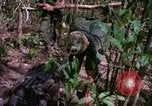 Image of operation Cedar Falls Vietnam, 1967, second 43 stock footage video 65675026111