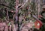 Image of operation Cedar Falls Vietnam, 1967, second 50 stock footage video 65675026111
