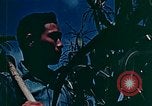 Image of relocation employment United States USA, 1943, second 51 stock footage video 65675026112