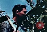 Image of relocation employment United States USA, 1943, second 53 stock footage video 65675026112