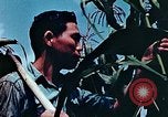 Image of relocation employment United States USA, 1943, second 54 stock footage video 65675026112
