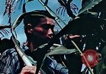 Image of relocation employment United States USA, 1943, second 55 stock footage video 65675026112