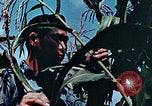 Image of relocation employment United States USA, 1943, second 56 stock footage video 65675026112
